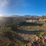 Morning in Day Forest Landscape – Tourist facility site, Djibouti, Jan 2021, @Houssein